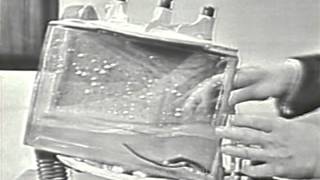 TIMEX Marlon Waterproof Watches w John Cameron Swayze Television Commercial 1960 [upl. by Haida]