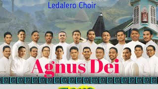 Lagu Agnus Dei  Koor Para Frater SVD  Ledalero Choir [upl. by Maclay766]