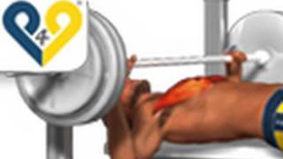 Chest Exercises Bench Press [upl. by Cela]