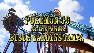 Pokémon GO At The Parks Busch Gardens Tampa Bay [upl. by Marashio]