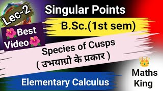 Species of Cuspsउभयाग्रो के प्रकारMathsBSc 1st semElementary Calculus [upl. by Kieryt726]