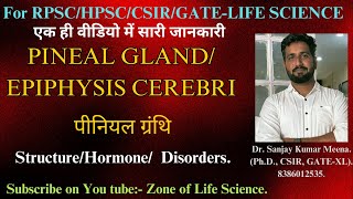 Pineal Gland RPSCHPSCCSIRGATE LIFE SCIENCE by Dr Sanjay Meena rpsc1stgrade [upl. by Nadabus]