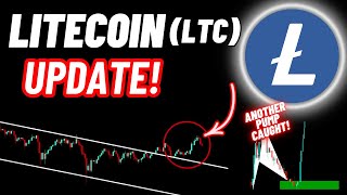 Litecoin LTC Crypto Coin Update [upl. by Walworth]