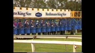 1987 Magic Millions  Snippets [upl. by Adin]