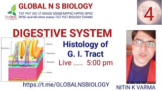 Digestive system Lecture 4 [upl. by Dennison443]