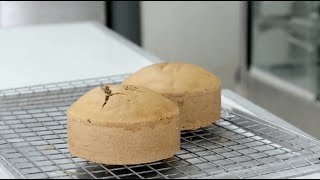 What is an Emulsifier  Knead to Know Basis  BAKERpedia [upl. by Tteltrab]