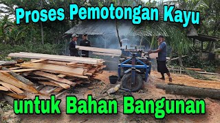 IMAM2569 PROSES PEMOTONGAN KAYU SETELAH DILAKUKAN PENEBANGAN [upl. by Apple]