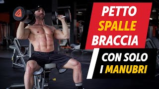 Petto spalle bicipiti allenamento con manubri a casa [upl. by Eirb]