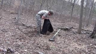 planting pawpaw trees for deer habitat improvements [upl. by Ahsirkal]