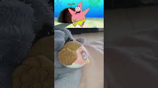 Princess Leia Stella plush translate swedish car into Spanish🇪🇦 spongebobsquarepantsfunny memes [upl. by Sarah]