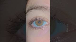 Eyelashes tutorial eye eyelashes curler gel [upl. by Esined]