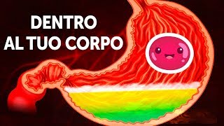 Un viaggio dentro il tuo corpo [upl. by Egidius]