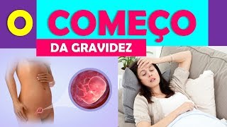 COMO É O COMEÇO DA GRAVIDEZ  BOA GRAVIDEZ [upl. by Nnyleitak]