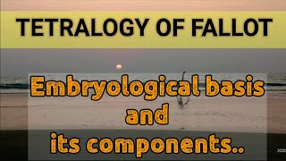 TETRALOGY OF FALLOT [upl. by Adil]