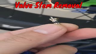 How To Remove A Tire Valve Stem Core [upl. by Llerruj708]