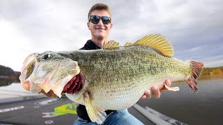 Once in a Lifetime DOUBLE DIGIT Bass  SCALE NEEDED Lake Fishing [upl. by Hoskinson]