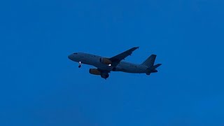 Plane Spotting  Landings at Gothenburg Landvetter airport 20240120 [upl. by Martinez]