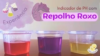 Indicador de PH com Repolho Roxo Experimento  Telecoteco [upl. by Warfield]