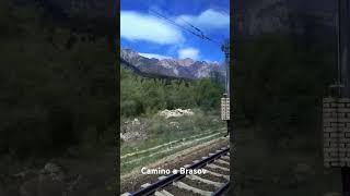 En tren a Brasov Rumanía nature music [upl. by Neeruan]