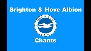 Brighton and Hove Albions Best Football Chants Video  HD W Lyrics [upl. by Shellie]