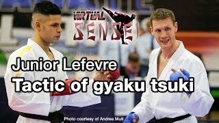 Junior Lefevre  Biomechanics and tactic of gyaku tsuki  Karate All Stars 2013 [upl. by Spanjian]