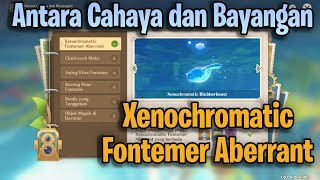 Event Antara Cahaya dan Bayangan Xenochromatic Fontemer Aberrant  Genshin Impact [upl. by Nielson298]