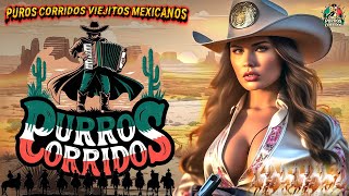 PUROS CORRIDOS CON BANDA 2024🥂LAS MAS FAMOSOS CORRIDOS VIEJITOS CON BANDA🥂Puras Pa Pistear Mix 2024 [upl. by Annoik]