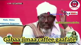 sheikh muusaa suaalaa mana marii caffee oromiyaa irratti rakkina gabaa jimaa hime [upl. by Aical]