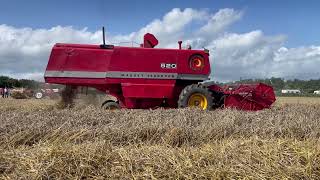 Vintage combine harvester Massey Ferguson 520 vintage harvest mf520 [upl. by Polly758]