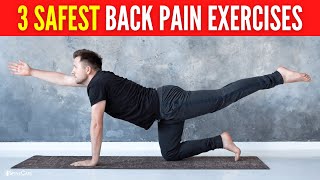 3 Safest Lower Back Pain Exercises FOR LONG LASTING RELIEF [upl. by Leitao951]