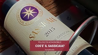 Il Sassicaia di Bolgheri  Storia e successi [upl. by Shenan931]