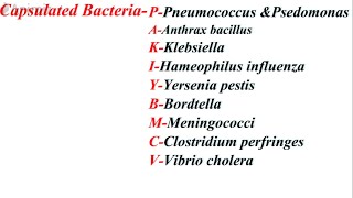 CAPSULATED BACTERIA amp FLAGELLATED BACTERIA MNEMONICS [upl. by Stephenie]