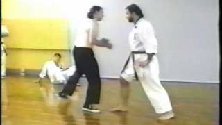 Serious IronBody Demonstration Okinawan Karate [upl. by Flory582]