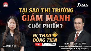 TẠI SAO THỊ TRƯỜNG GIẢM MẠNH CUỐI PHIÊN  ĐTDT 01112024 [upl. by Clevie]