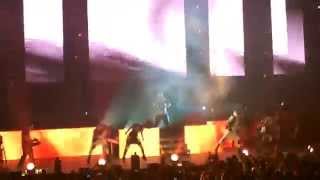 Daddy Yankee  La Gasolina Live Zénith TOULOUSE 2014 [upl. by Kaleena]