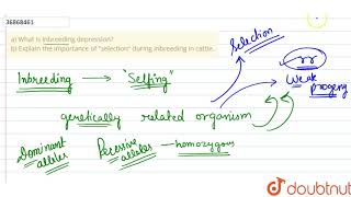 a What is inbreeding depression b Explain the importance of \quotselection\quot during inbreeding in [upl. by Wilt910]