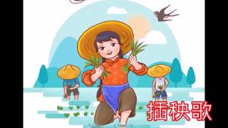 菲律賓民謠folk 插秧歌 朱慧珍 [upl. by Scrivings]