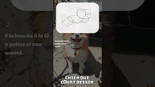 Comment Chien qui court dessin facile [upl. by Eelarat]