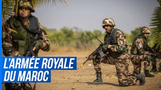 Le Renouveau de lArmée Royale du Maroc [upl. by Descombes]