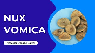 Nux Vomica  Homeopathy Remedy [upl. by Ardnael839]