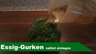 🥒 Gurken einlegen 🥒  EssigGurken selber machen  Lets cook [upl. by Sugirdor735]