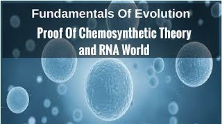 Proof Of Chemosynthetic Theory RNA World [upl. by Alcock]