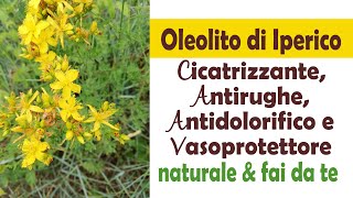 Oleolito di Iperico  Cicatrizzante Antirughe Antidolorifero e Vasoprotettore [upl. by Euqinot]