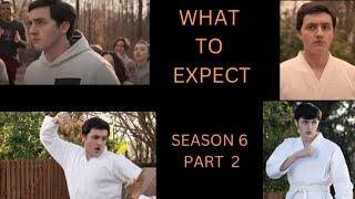 What To Expect From Demetri Cobra Kai Season 6 Part 2 [upl. by Thaddus]