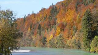 Deisenhofen amp Oberland Sommer amp Herbst 2009 Radtouren [upl. by Nipsirc]