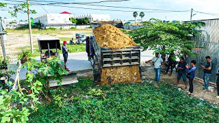 First Starting Project Pour soil Delete flooded land use Bulldozer amp Dump Truck 5ton By size 10x30m [upl. by Robinett]