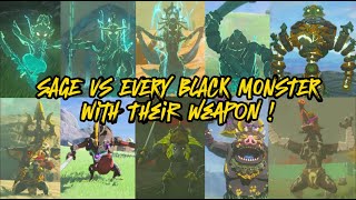 SAGE VS ALL BLACK MONSTER IN TOTK  WITH SAME TYPE OF WEAPON [upl. by Eiramassenav]