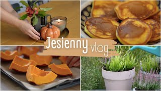 Jesienne dekoracje i wrzosy w donicach 🍂 mus z dyni 🎃 najpyszniejsze dyniowe placki 🥞 [upl. by Ziana967]