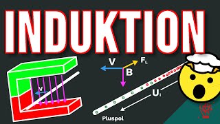 INDUKTION und die Lorentzkraft [upl. by Josefa]