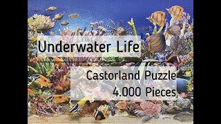 Doing the 4000 Pieces Jigsaw Puzzle quotUnderwater Lifequot by Castorland a Time Lapse Video [upl. by Silin]